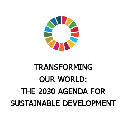 Sustainable development goal logo